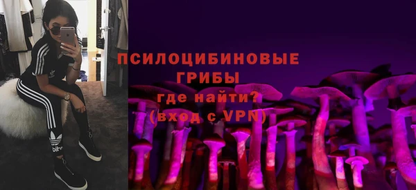 молекула духа Новокубанск