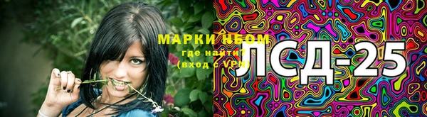 молекула духа Новокубанск